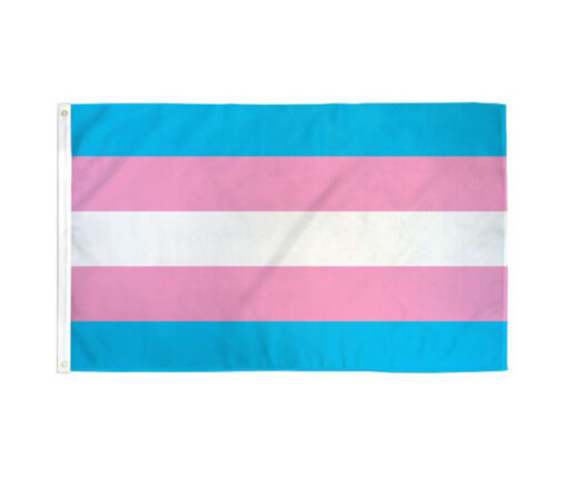A transgender flag consisting of blue, white, and pink stripes.